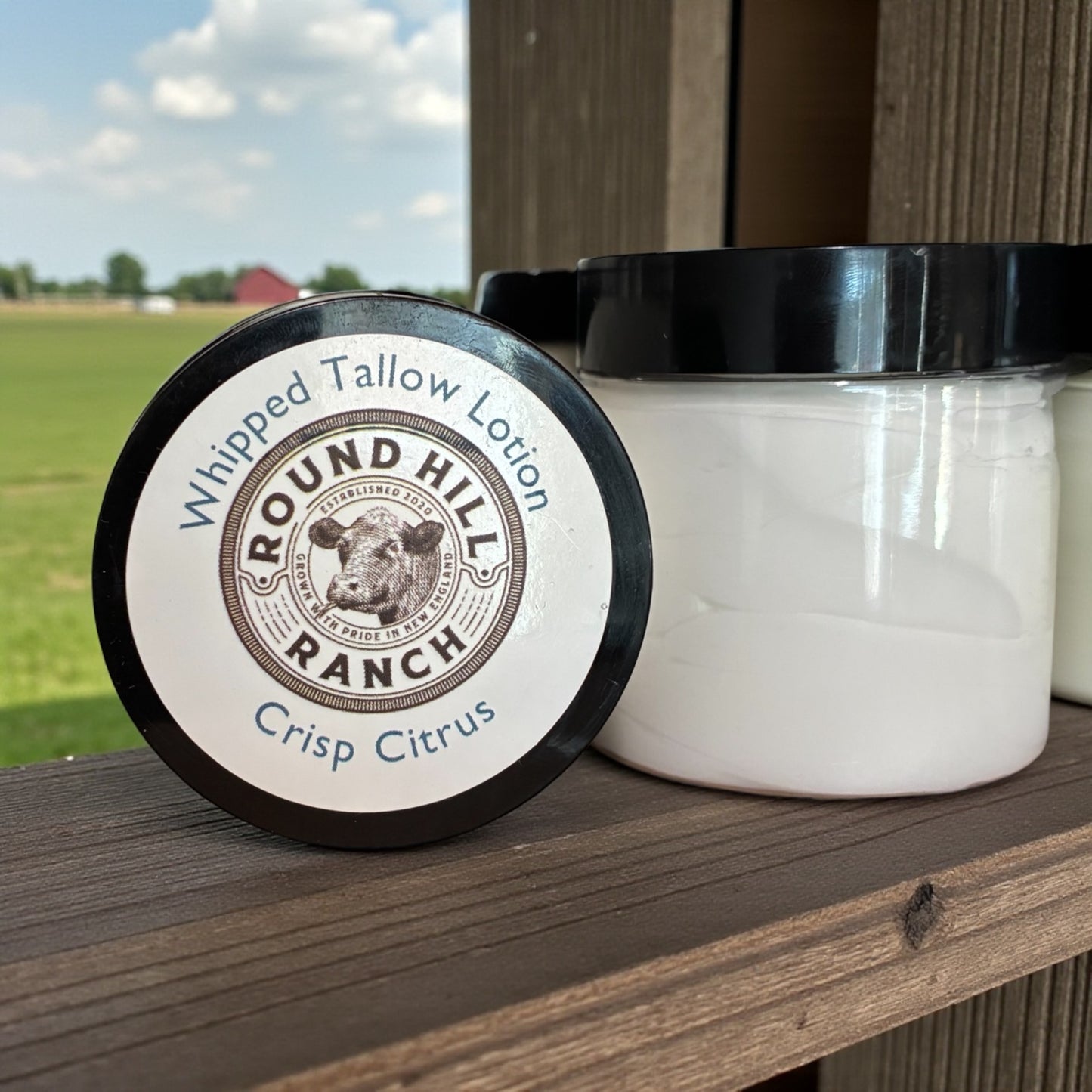 Crisp Citrus Whipped Tallow Lotion