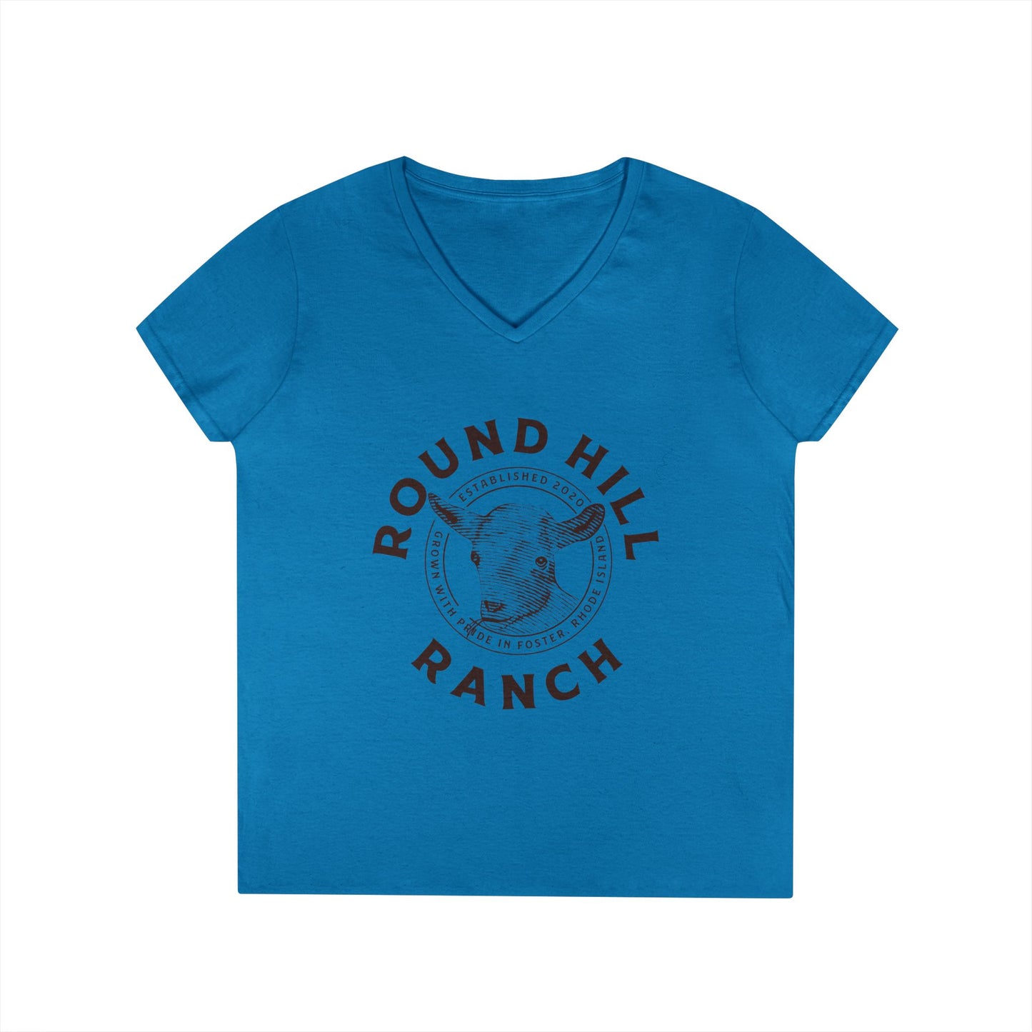 Inspirational Ladies' V-Neck T-Shirt - Round Hill Ranch & Deuteronomy 29:9