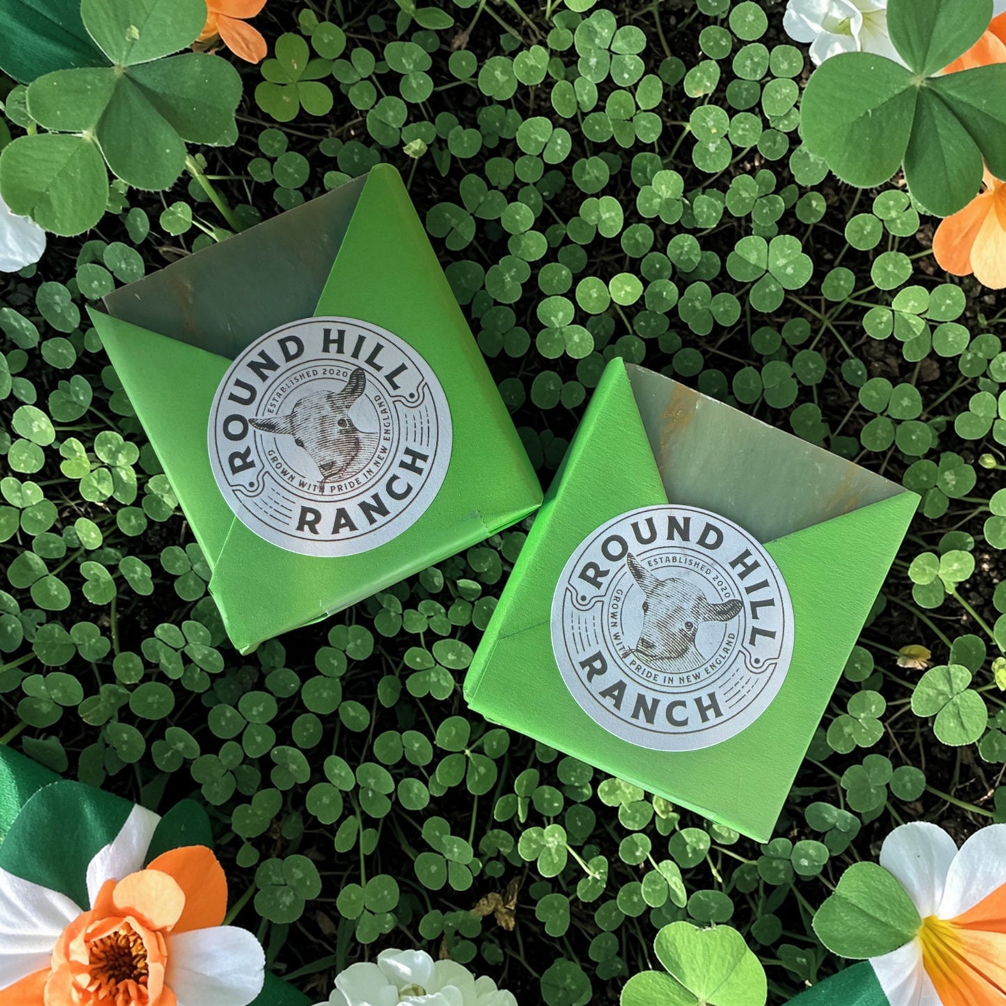 Clover Fields