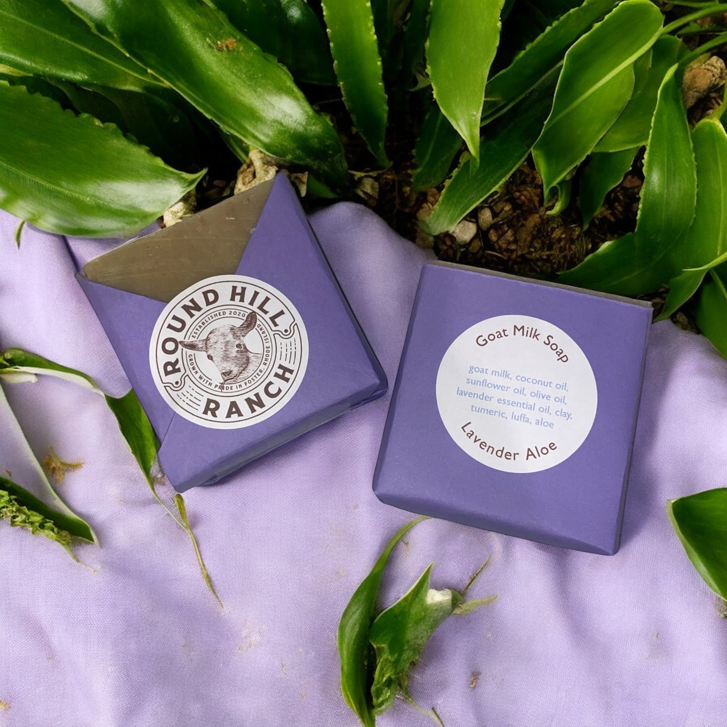 Lavender Aloe