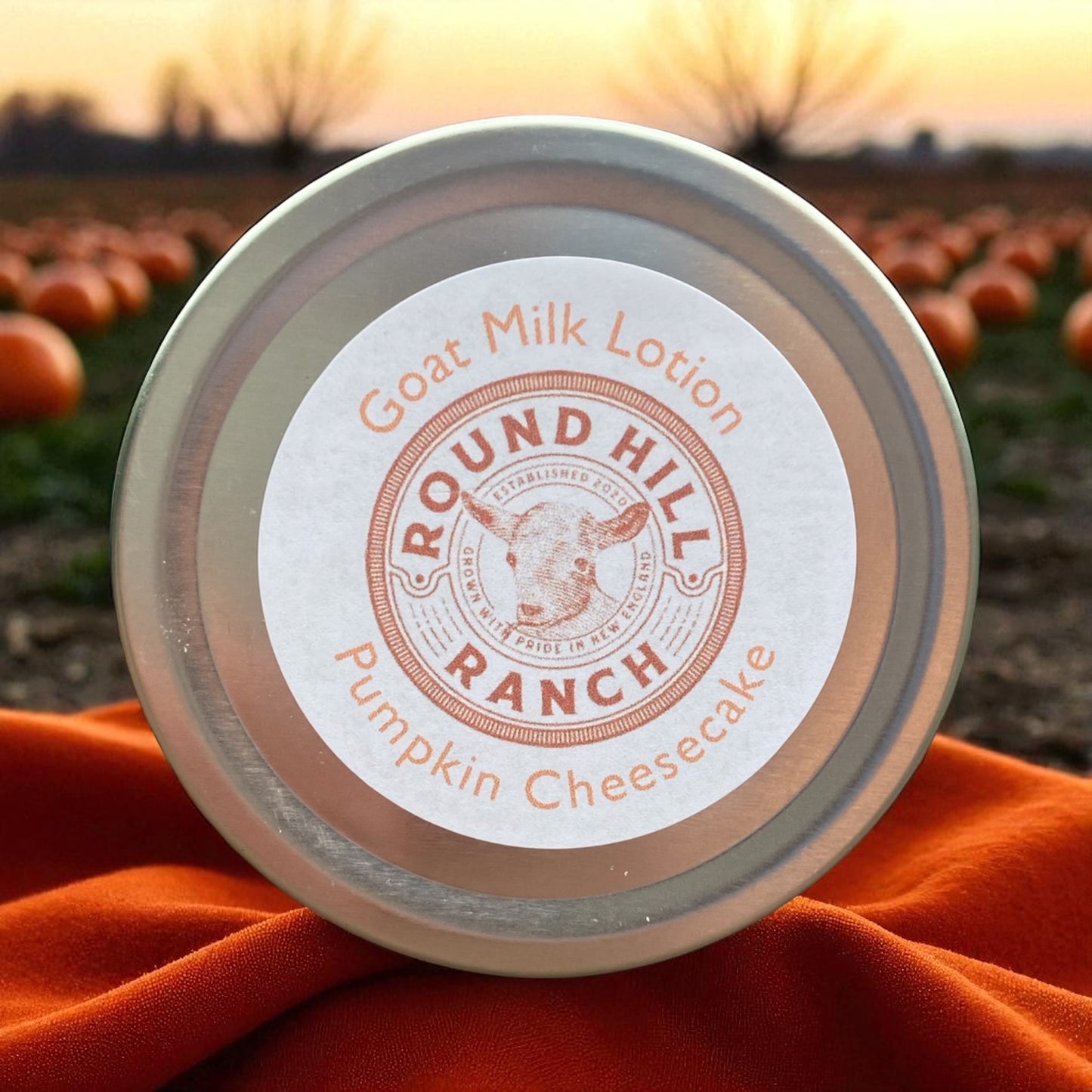 Goat Milk Lotion: Pumpkin Cheesecake