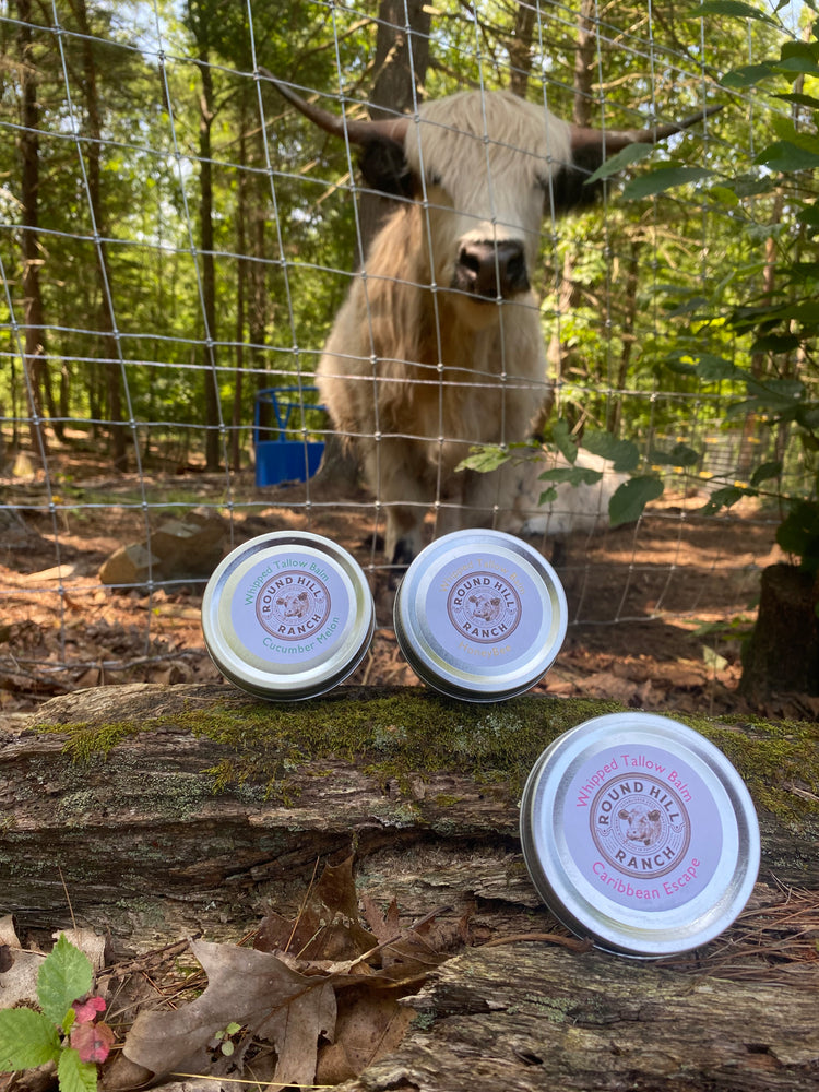 Whipped Aloe Tallow