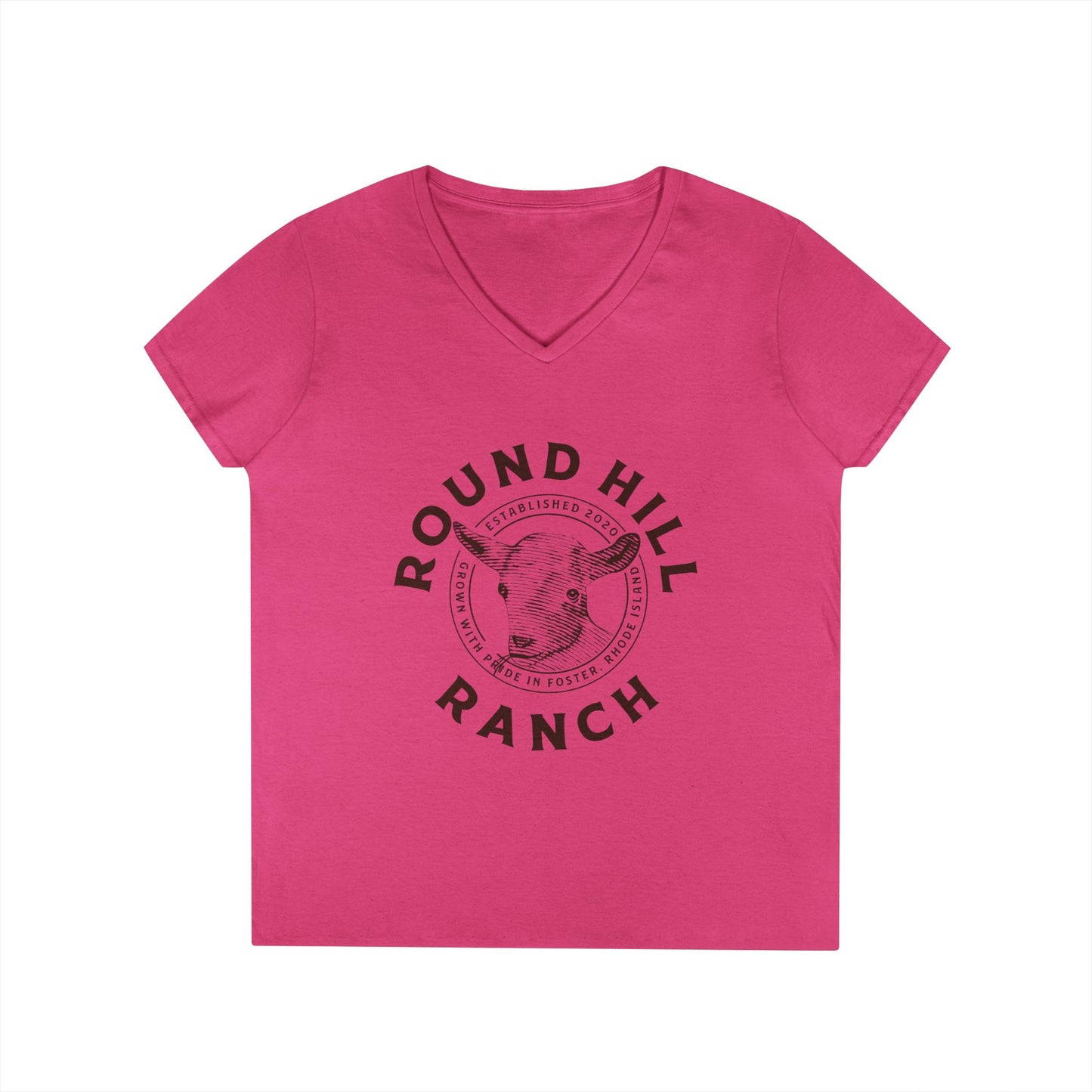 Inspirational Ladies' V-Neck T-Shirt - Round Hill Ranch & Deuteronomy 29:9