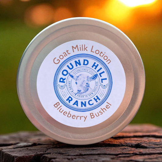 Goat Milk Lotion: Blueberries