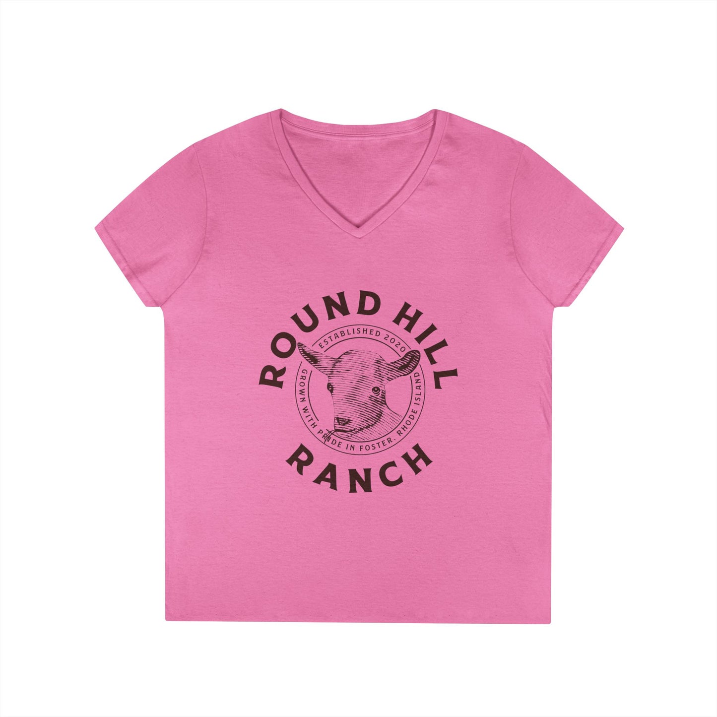 Inspirational Ladies' V-Neck T-Shirt - Round Hill Ranch & Deuteronomy 29:9