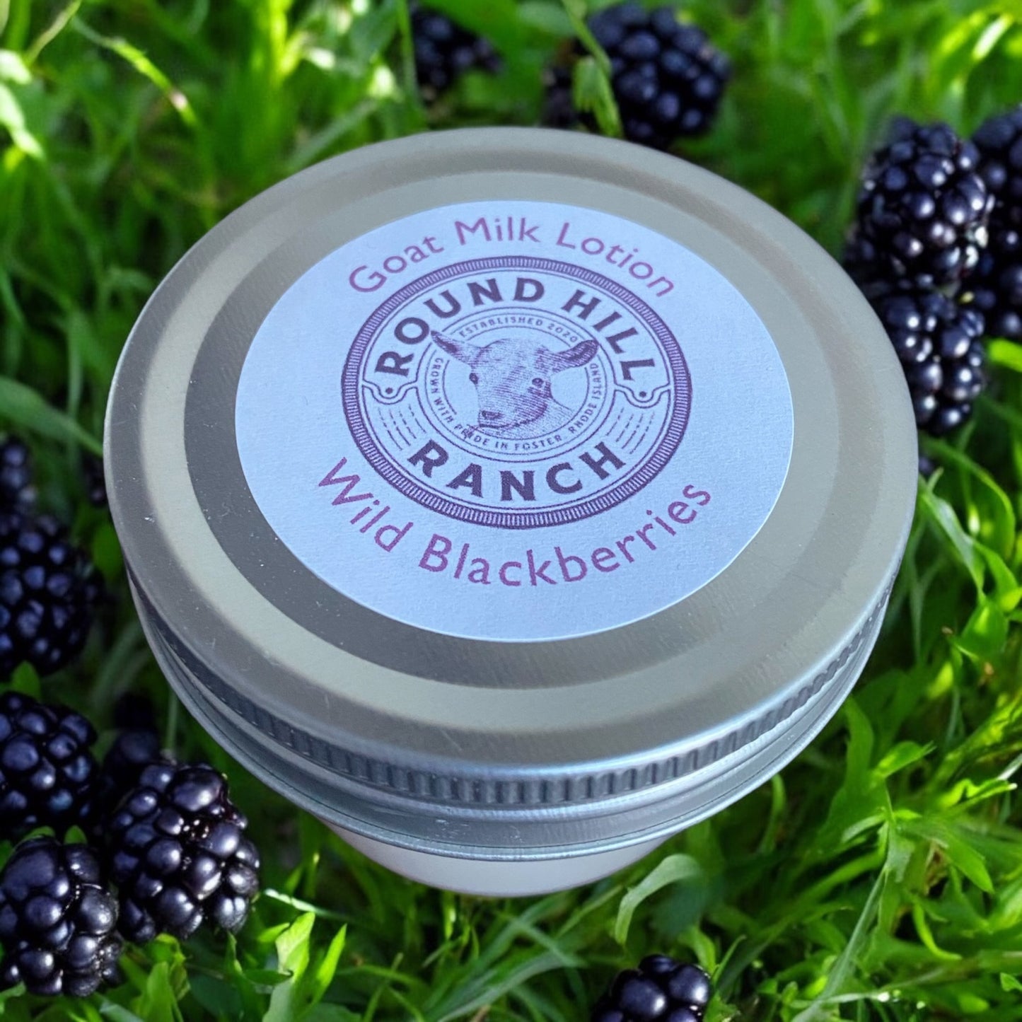 Goat Milk Lotion: Wild Blackberries