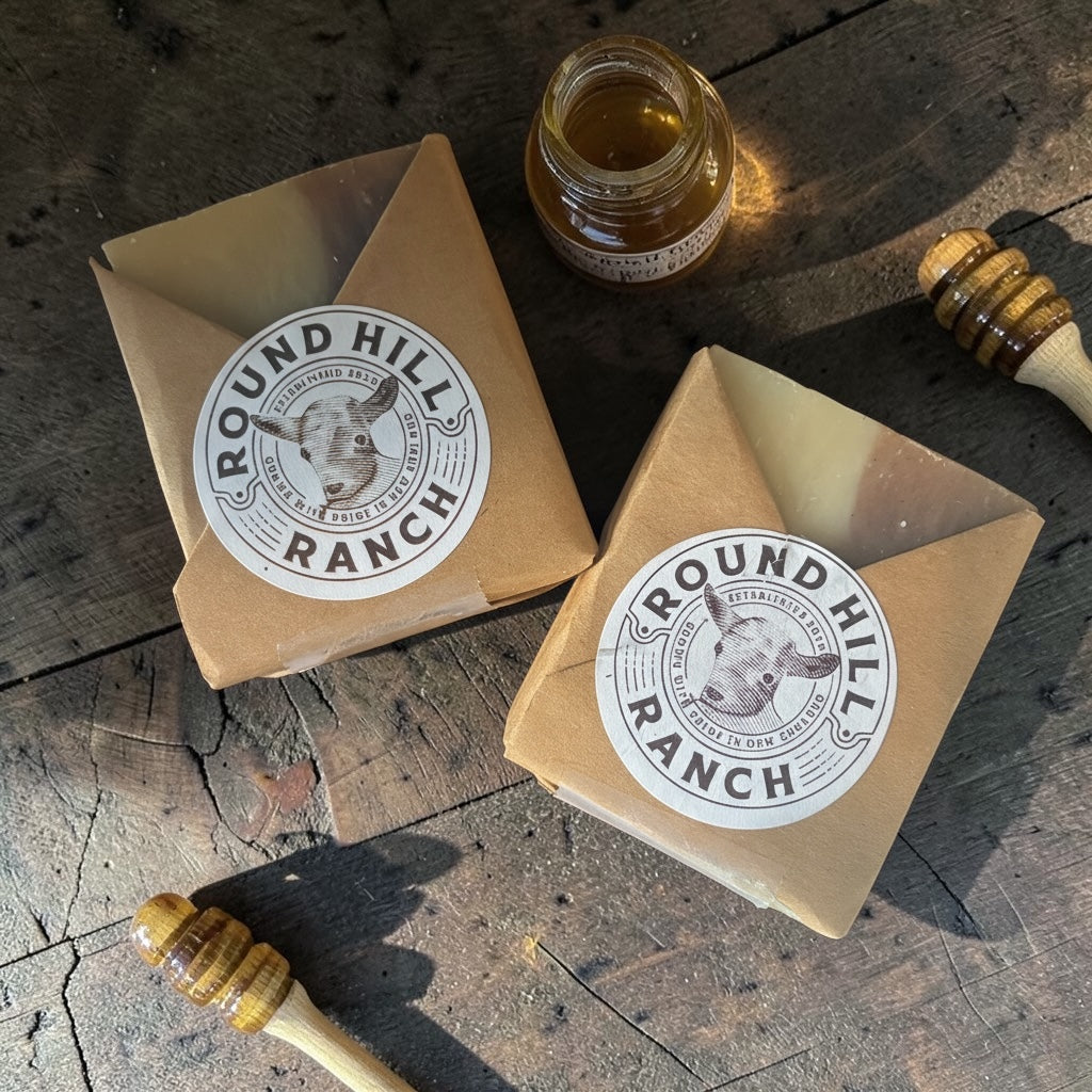 HoneyBee with Cinnamon