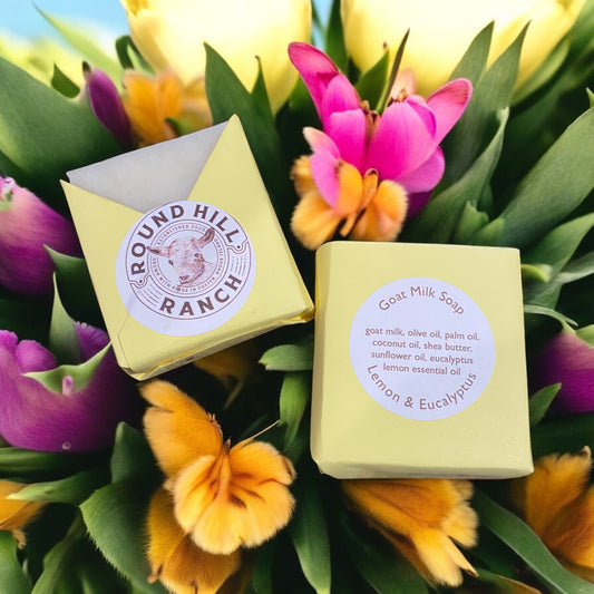 Lemon & Eucalyptus