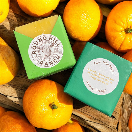 Sweet Oranges