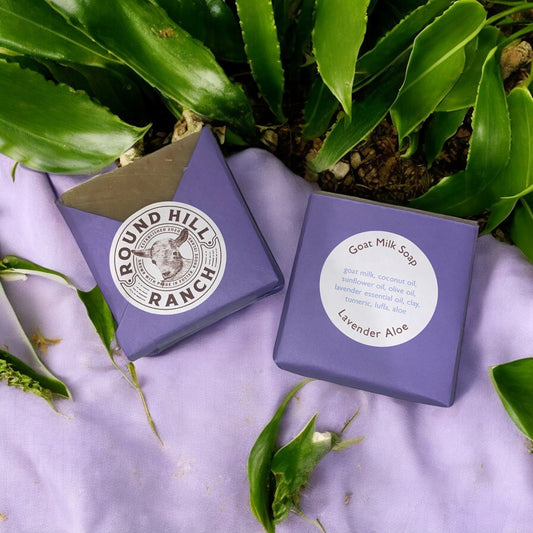 Lavender Aloe