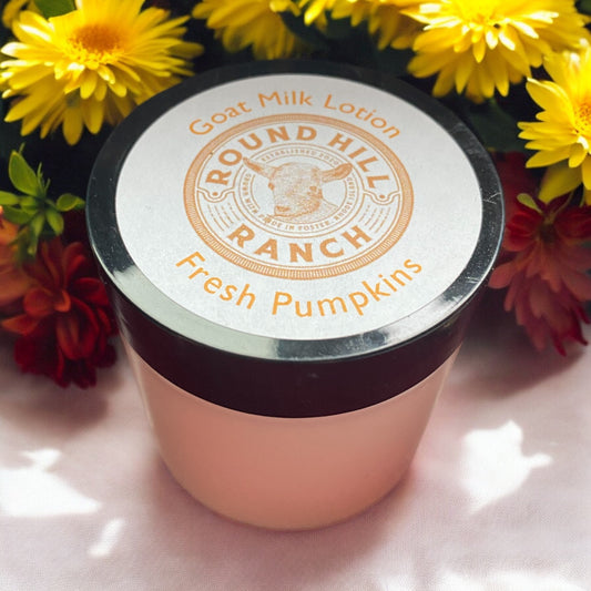 Goat Milk Lotion: Pumpkins