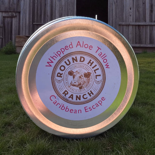Caribbean Escape Whipped Aloe Tallow