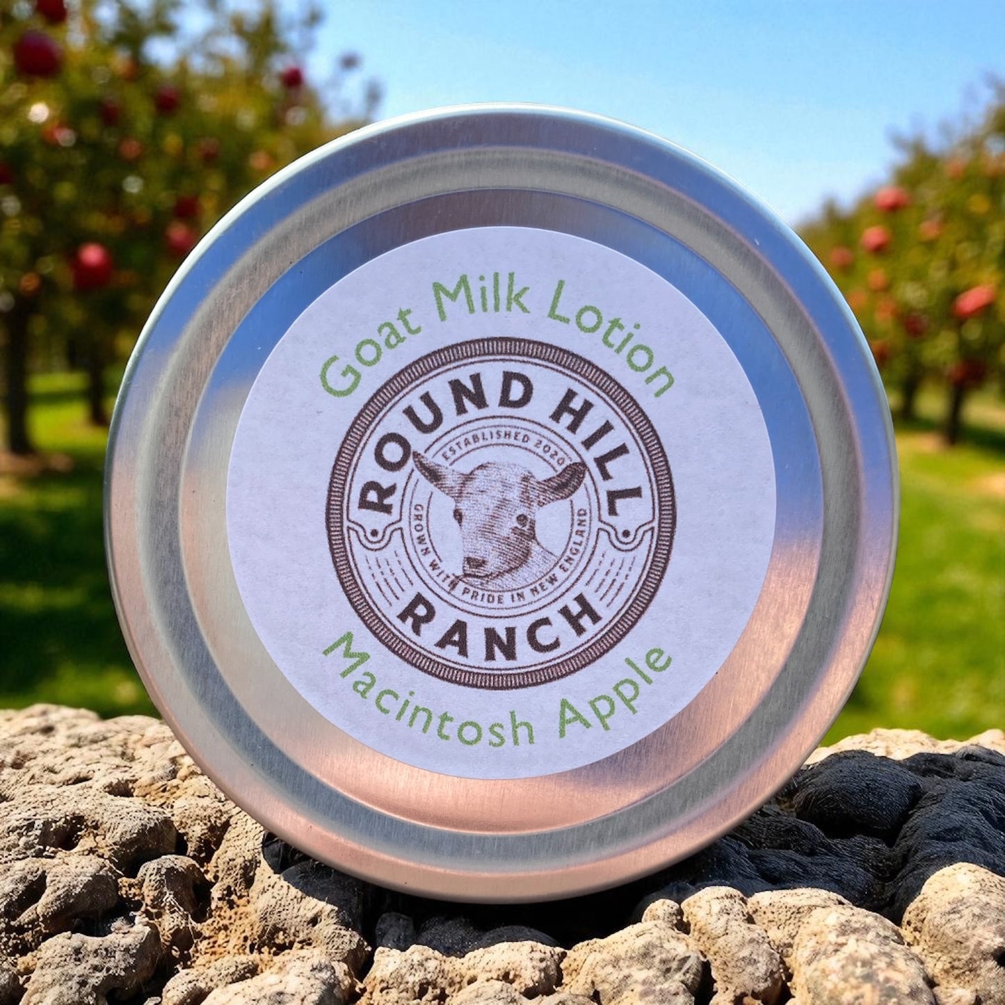 Goat Milk Lotion: Macintosh Apple
