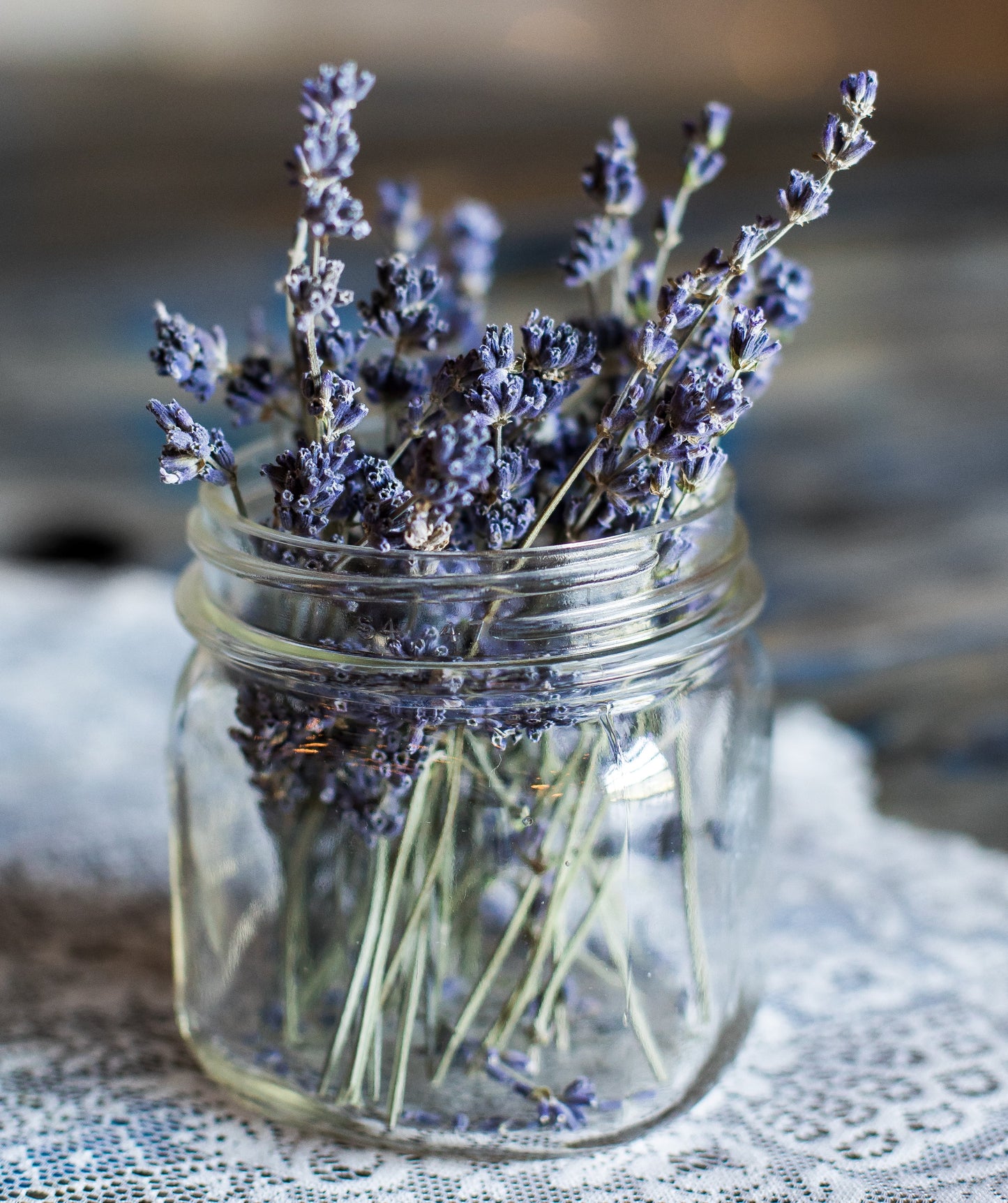 Lavender Garden Kit